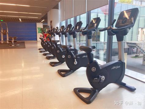 登录器 悟空体育